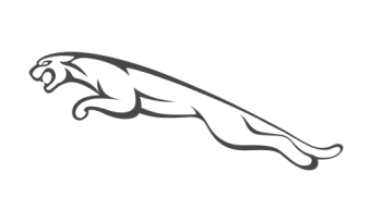 Jaguar image