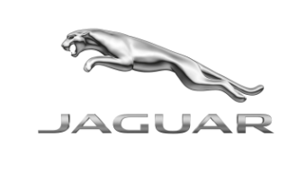 Jaguar image