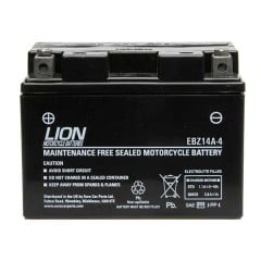 Lion Motorcycle Battery YTZ14S (Factory Sealed) 